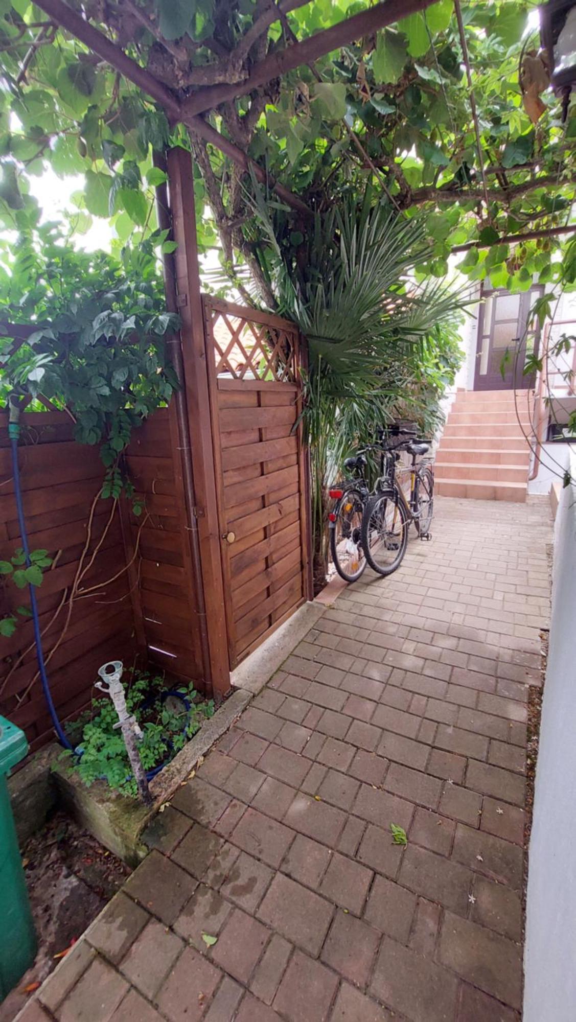 Apartment Drenovica *