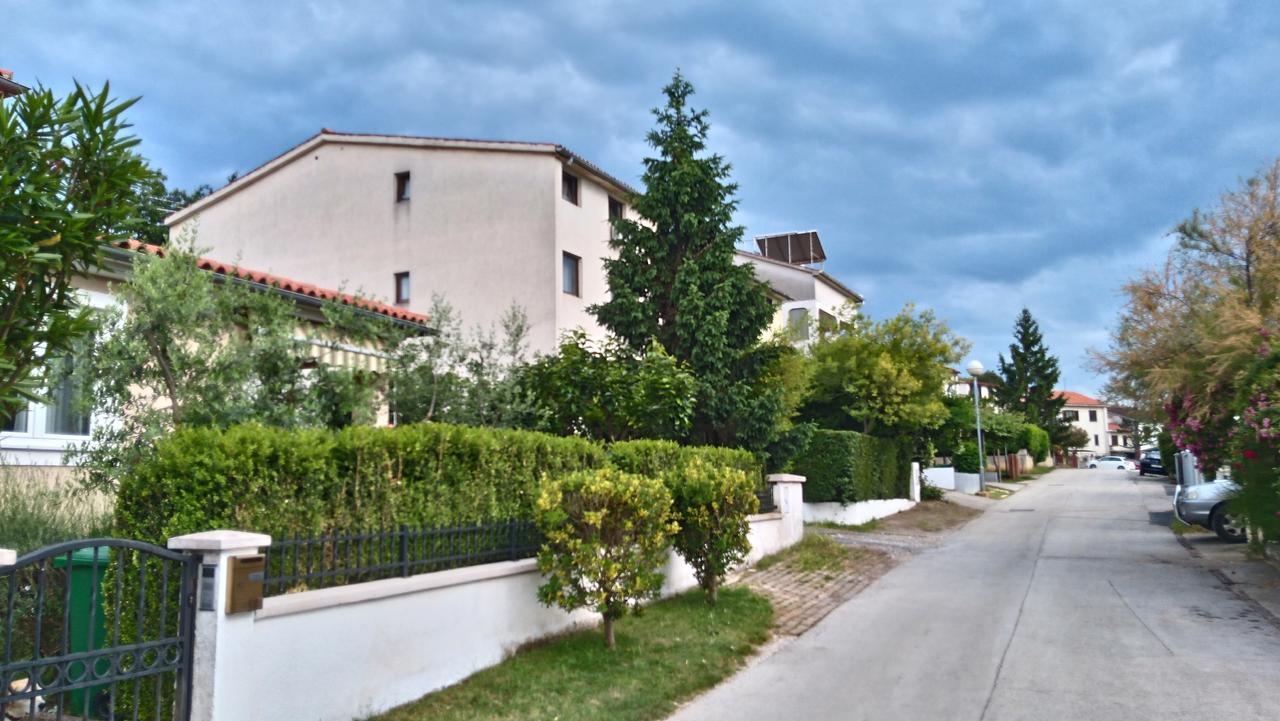 Drenovica * Pola