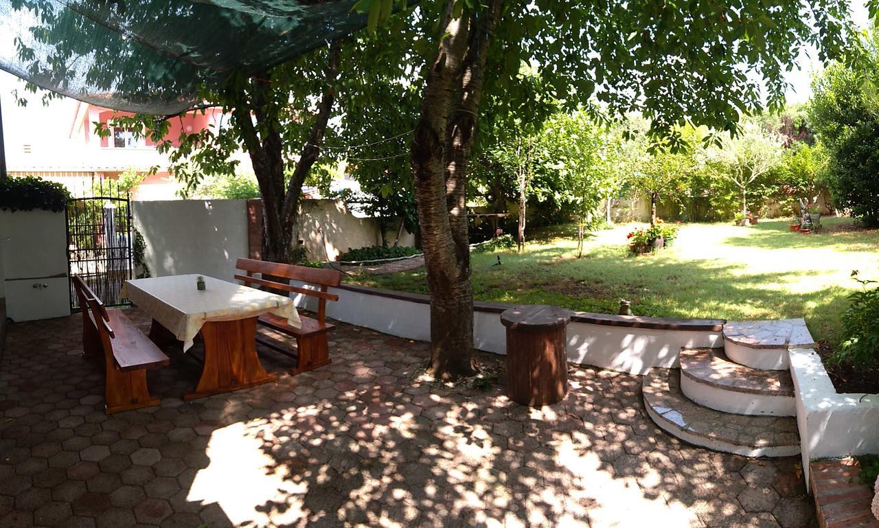 Drenovica Apartment *