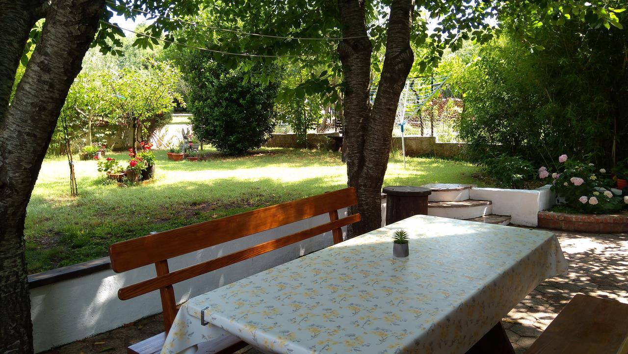 Drenovica