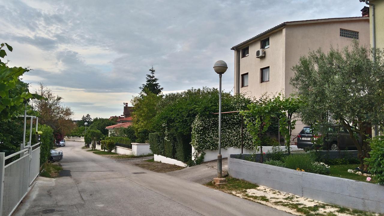 Apartment Drenovica *