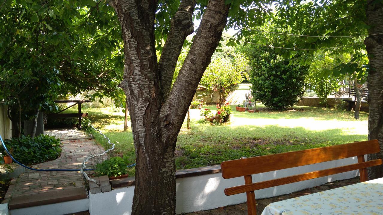Drenovica Apartment *